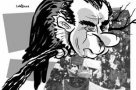 Nixon hawk