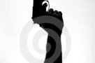 Gun