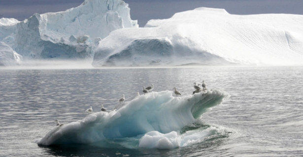 glaciers