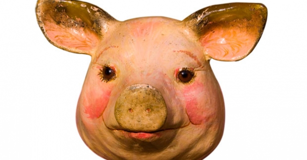 pig ears