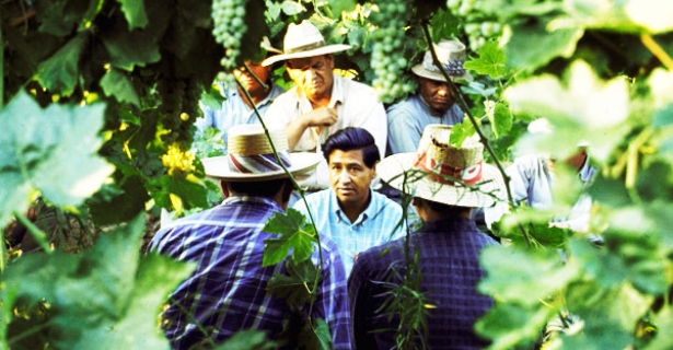 Cesar Chavez