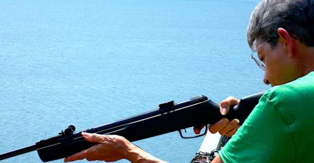granny gun