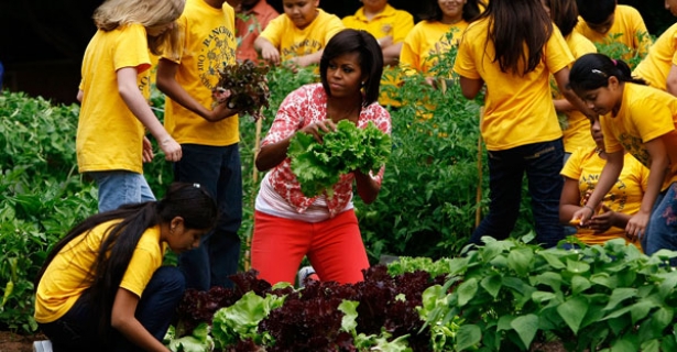 Michelle Obama garden