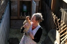 chickens natural fertilizer