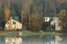 neighborhood of trees