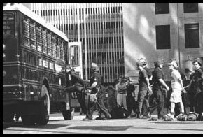 Protesters Being Arrested