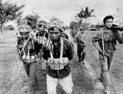 Cambodian's marching with Vietnamese